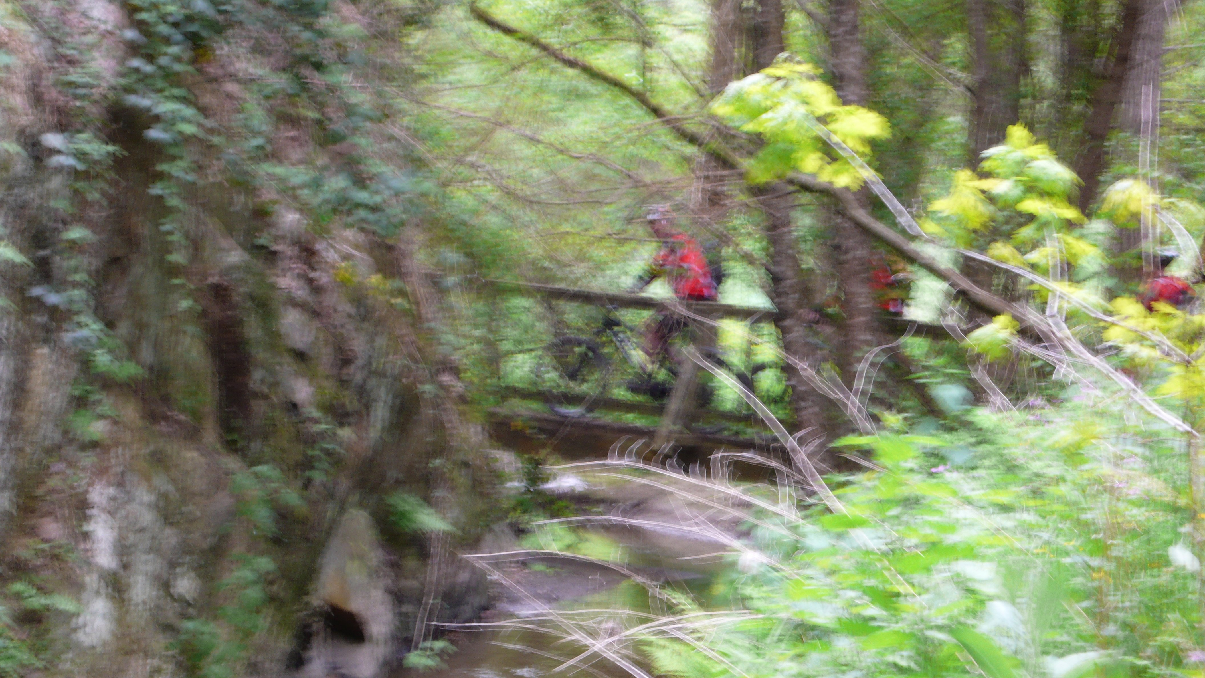 P1040125.jpg